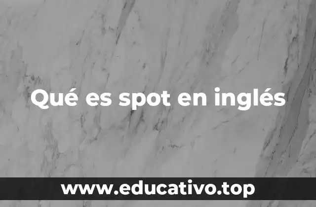 Qué es spot en inglés
