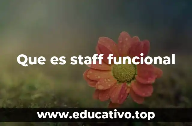 Cómo se diferencia el staff funcional de otros modelos organizacionales
