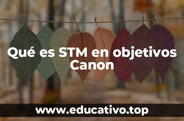 Qué es STM en objetivos Canon