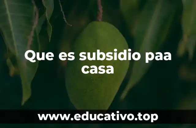 Que es subsidio paa casa