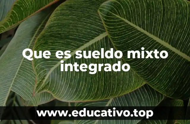 Que es sueldo mixto integrado