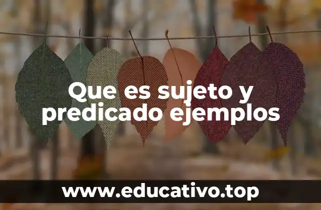 Que es sujeto y predicado ejemplos