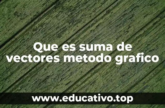 Que es suma de vectores metodo grafico