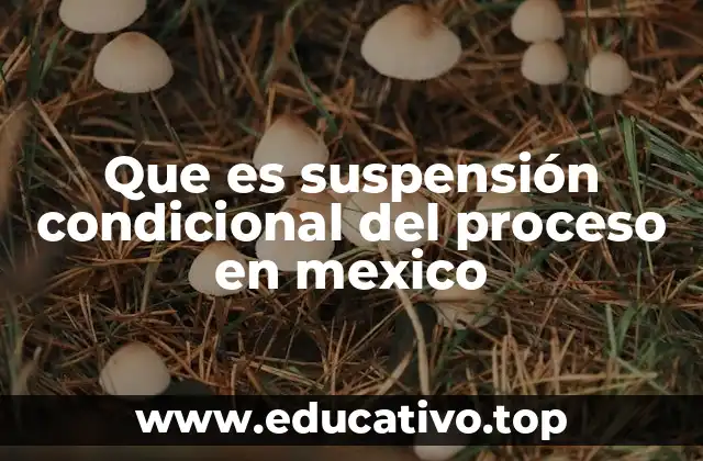 Que es suspensión condicional del proceso en mexico