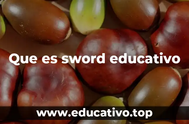 Que es sword educativo