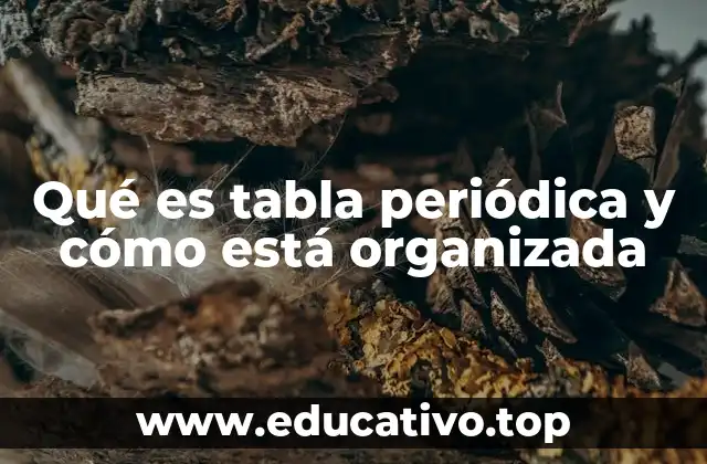 La estructura de la tabla periódica y su importancia en la química moderna