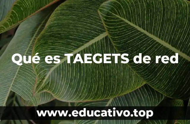 Qué es TAEGETS de red