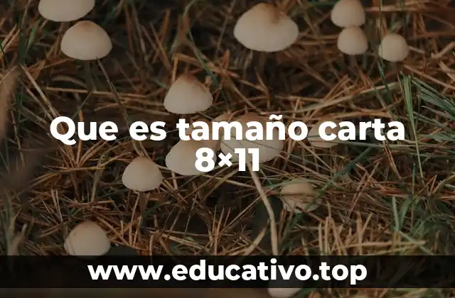 Que es tamaño carta 8×11