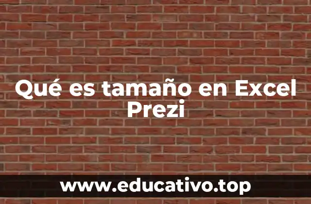Qué es tamaño en Excel Prezi