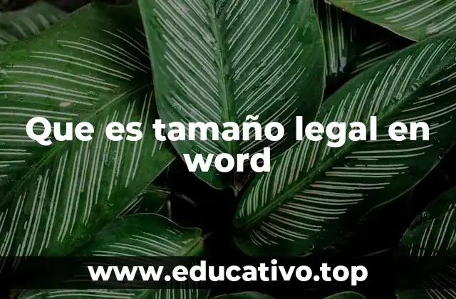 Que es tamaño legal en word