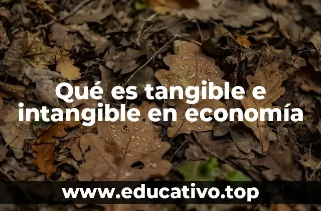 Qué es tangible e intangible en economía