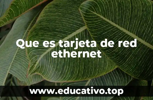 Que es tarjeta de red ethernet