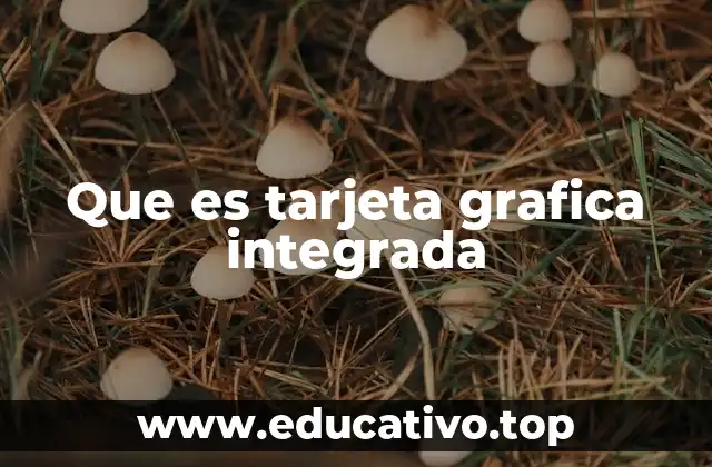 Que es tarjeta grafica integrada