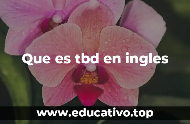 El uso de TBD en contextos profesionales y digitales