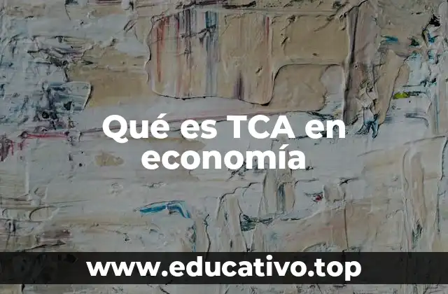 Qué es TCA en economía