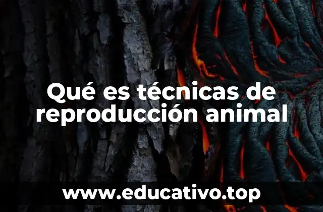Aplicaciones prácticas de las técnicas de reproducción animal