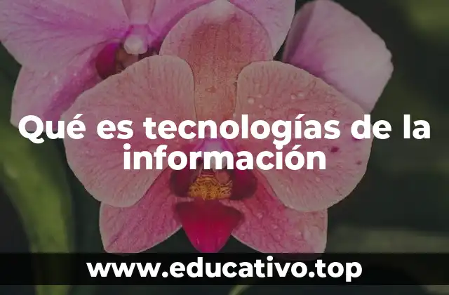 El papel de las tecnologías de la información en la sociedad moderna