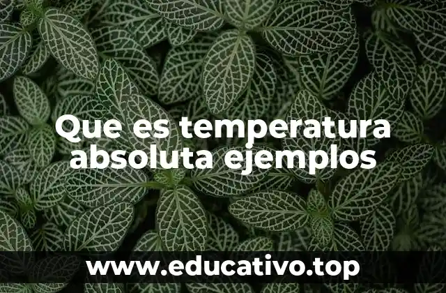 Que es temperatura absoluta ejemplos