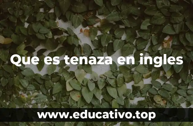 Que es tenaza en ingles