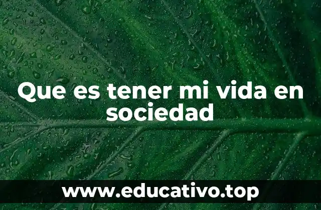Que es tener mi vida en sociedad