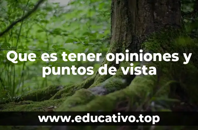 Que es tener opiniones y puntos de vista