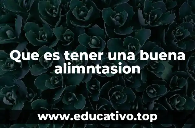 Que es tener una buena alimntasion