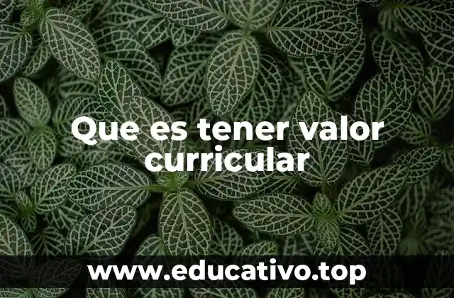 Que es tener valor curricular