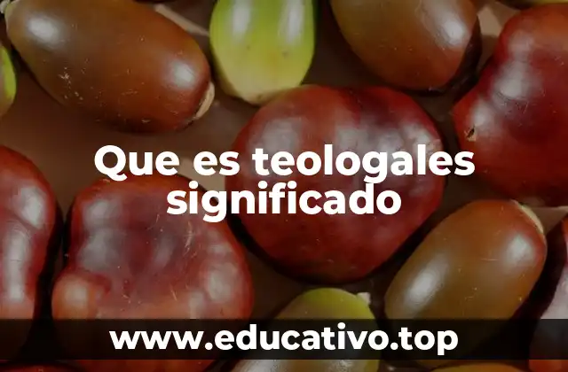 El uso de teológales en contextos académicos