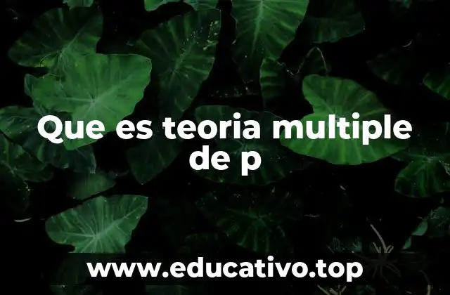 Que es teoria multiple de p