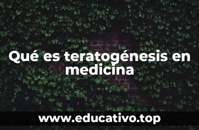 Factores que pueden desencadenar teratogénesis