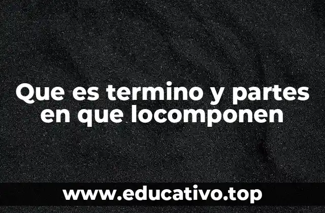 Que es termino y partes en que locomponen