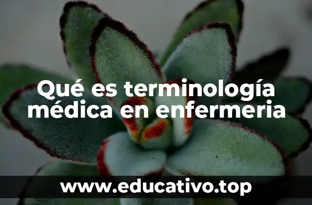 Qué es terminología médica en enfermeria
