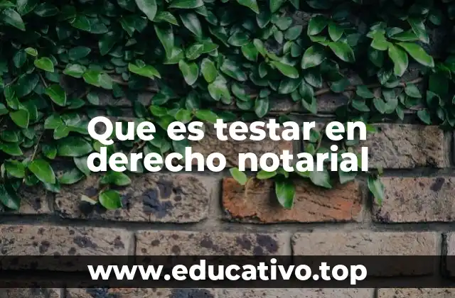 Que es testar en derecho notarial