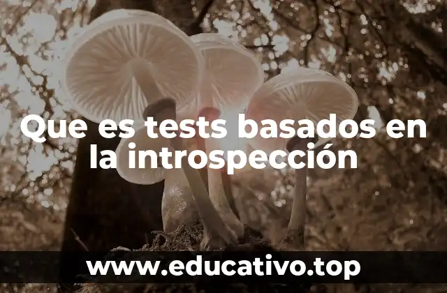 Que es tests basados en la introspección