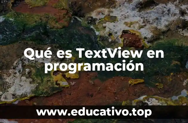 Qué es TextView en programación