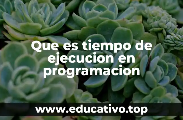 Que es tiempo de ejecucion en programacion