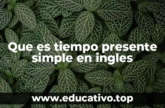 Que es tiempo presente simple en ingles