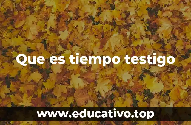 Que es tiempo testigo