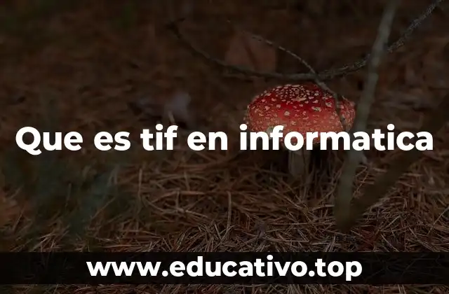 Que es tif en informatica