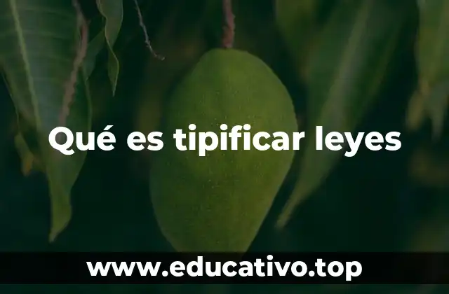 Qué es tipificar leyes