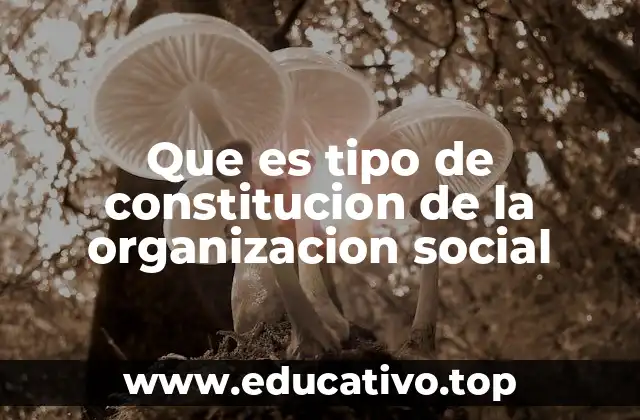Que es tipo de constitucion de la organizacion social