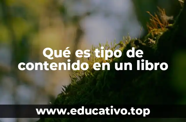 Qué es tipo de contenido en un libro