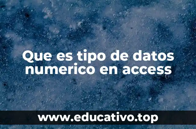 Que es tipo de datos numerico en access
