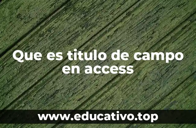 Que es titulo de campo en access