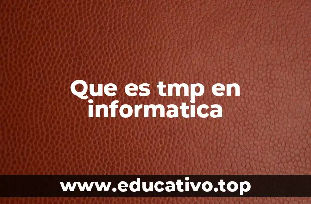 Que es tmp en informatica