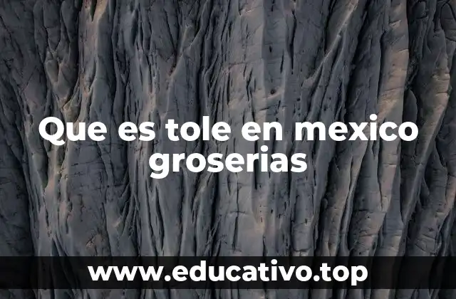 Que es tole en mexico groserias