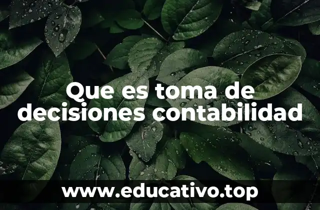 El rol de los datos contables en el liderazgo empresarial