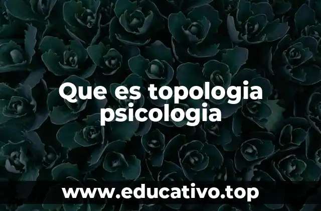Que es topologia psicologia