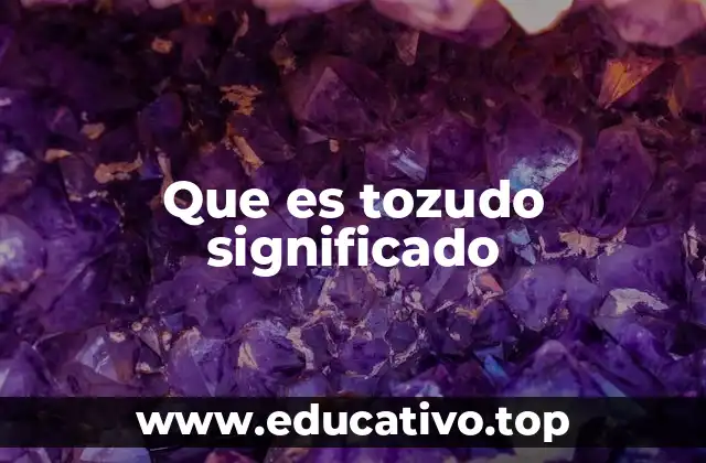 Que es tozudo significado