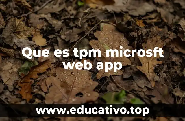 Que es tpm microsft web app